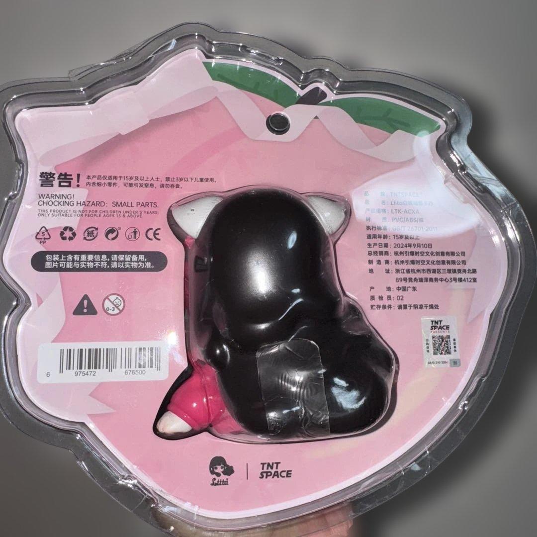 TNTSPACE Liita リイタ　透明パッケージ　吊卡 レア