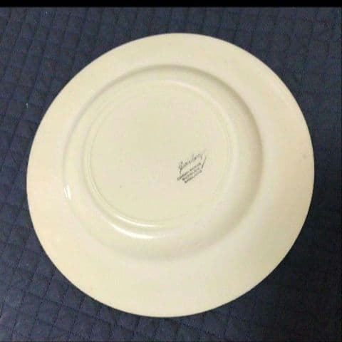 超美品スージークーパー「七面鳥(ターキー」ディナープレート」大皿２７cm
