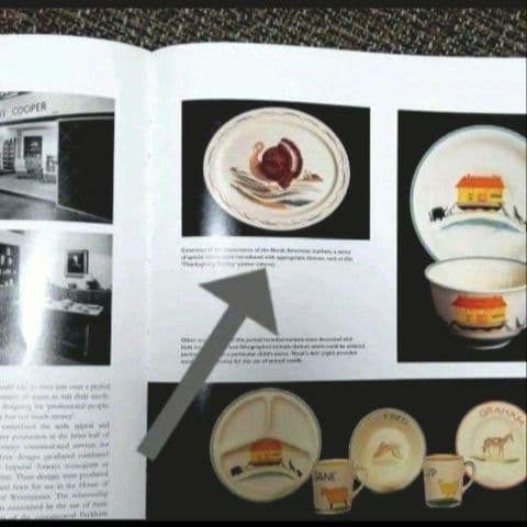 超美品スージークーパー「七面鳥(ターキー」ディナープレート」大皿２７cm