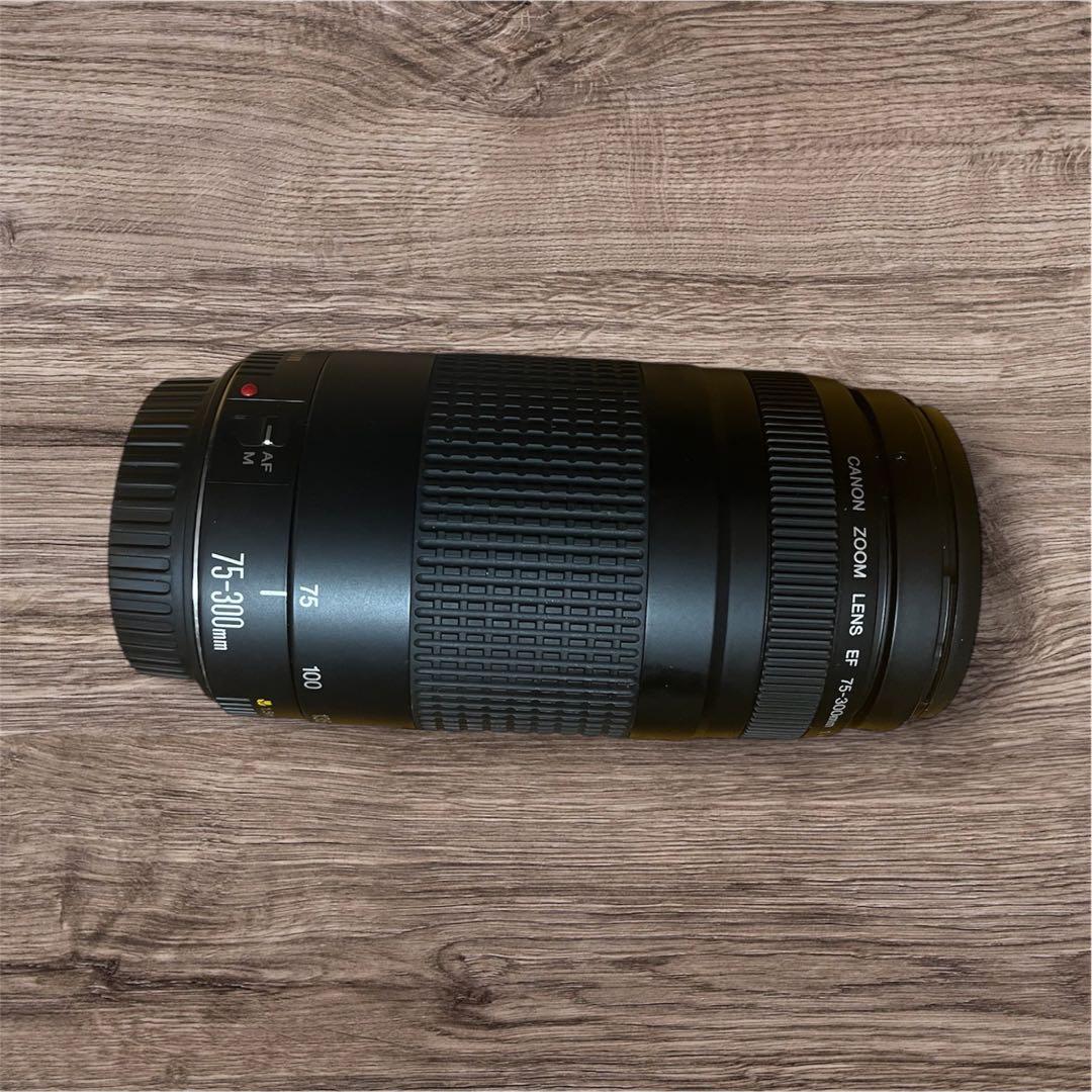 Canon EOS フィルム一眼レフカメラ 望遠レンズ・ケース・説明書付き