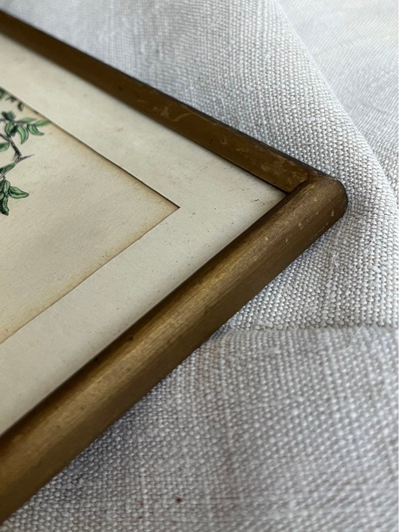 ◆フランスアンティーク｜希少なフランス絵画「さくらんぼ」