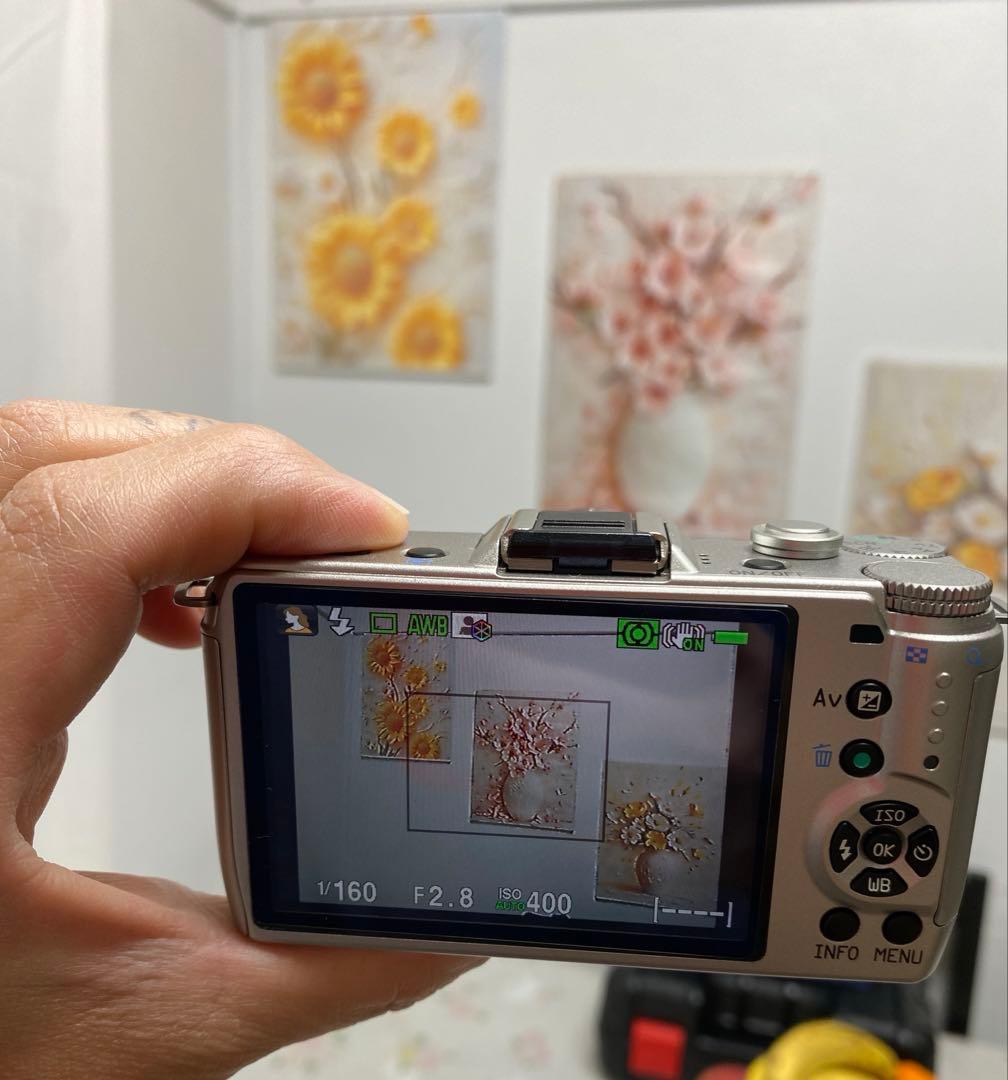 PENTAX Q10 コンパクトデジタルカメラ