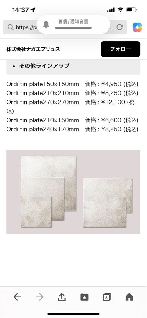 ナガエプリュス　錫板皿　30cm (大) 希少　訳アリ