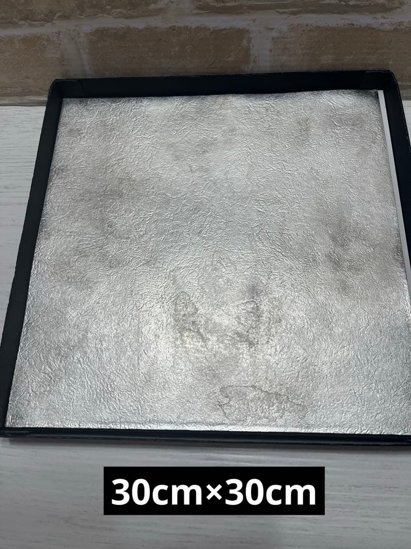 ナガエプリュス　錫板皿　30cm (大) 希少　訳アリ