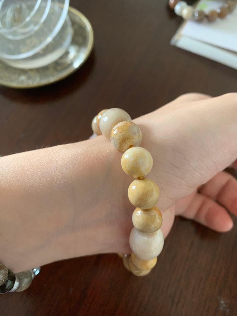 九尾アラシャンブレス