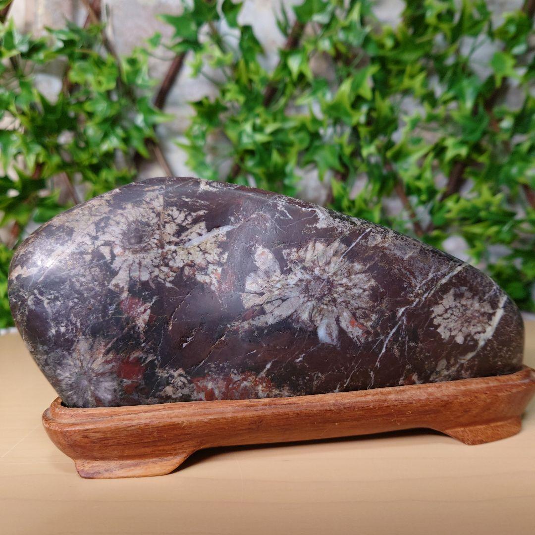 菊花石 鑑賞石　4輪の花　岐阜県根尾谷産　　台座付き 約20cm1.34kg