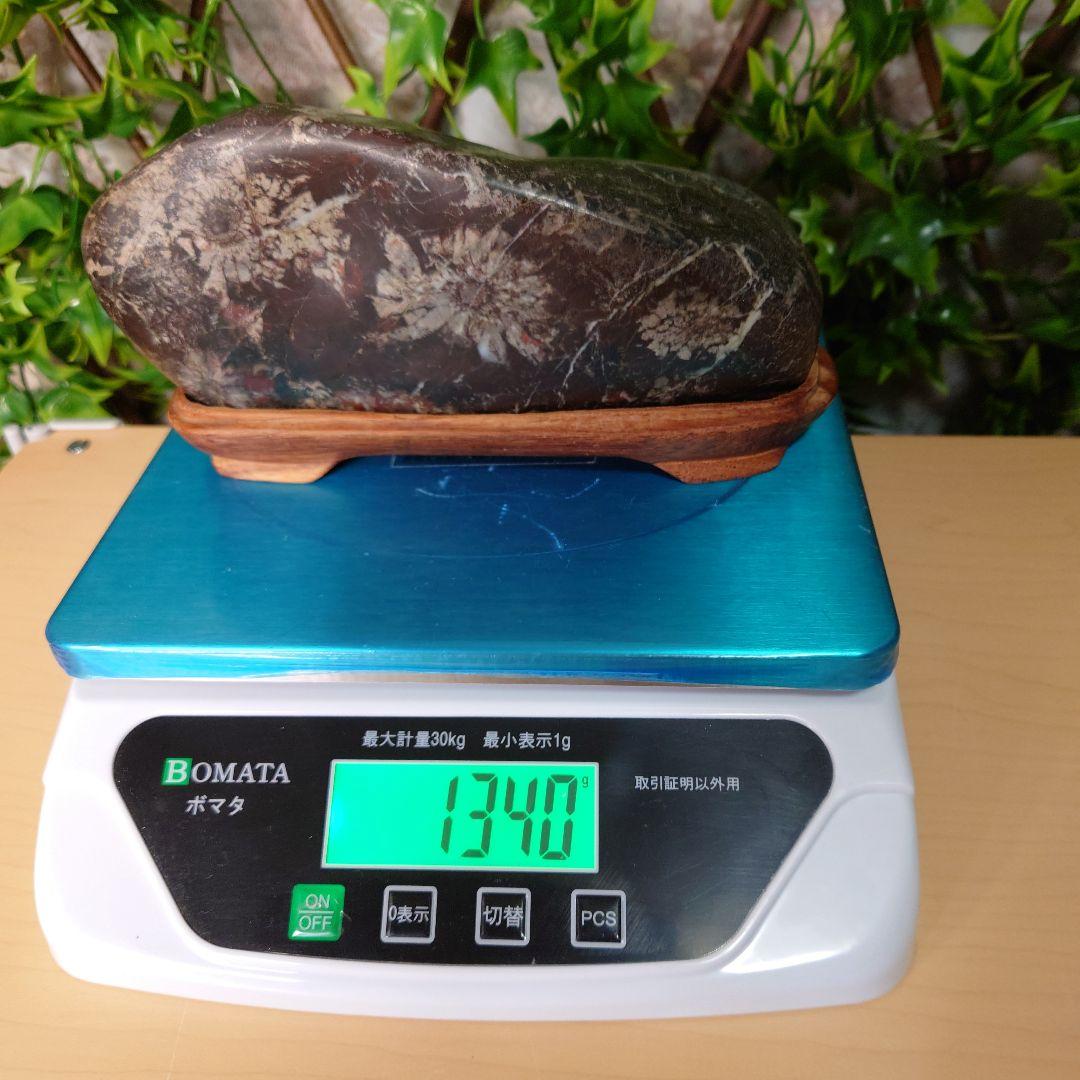 菊花石 鑑賞石　4輪の花　岐阜県根尾谷産　　台座付き 約20cm1.34kg