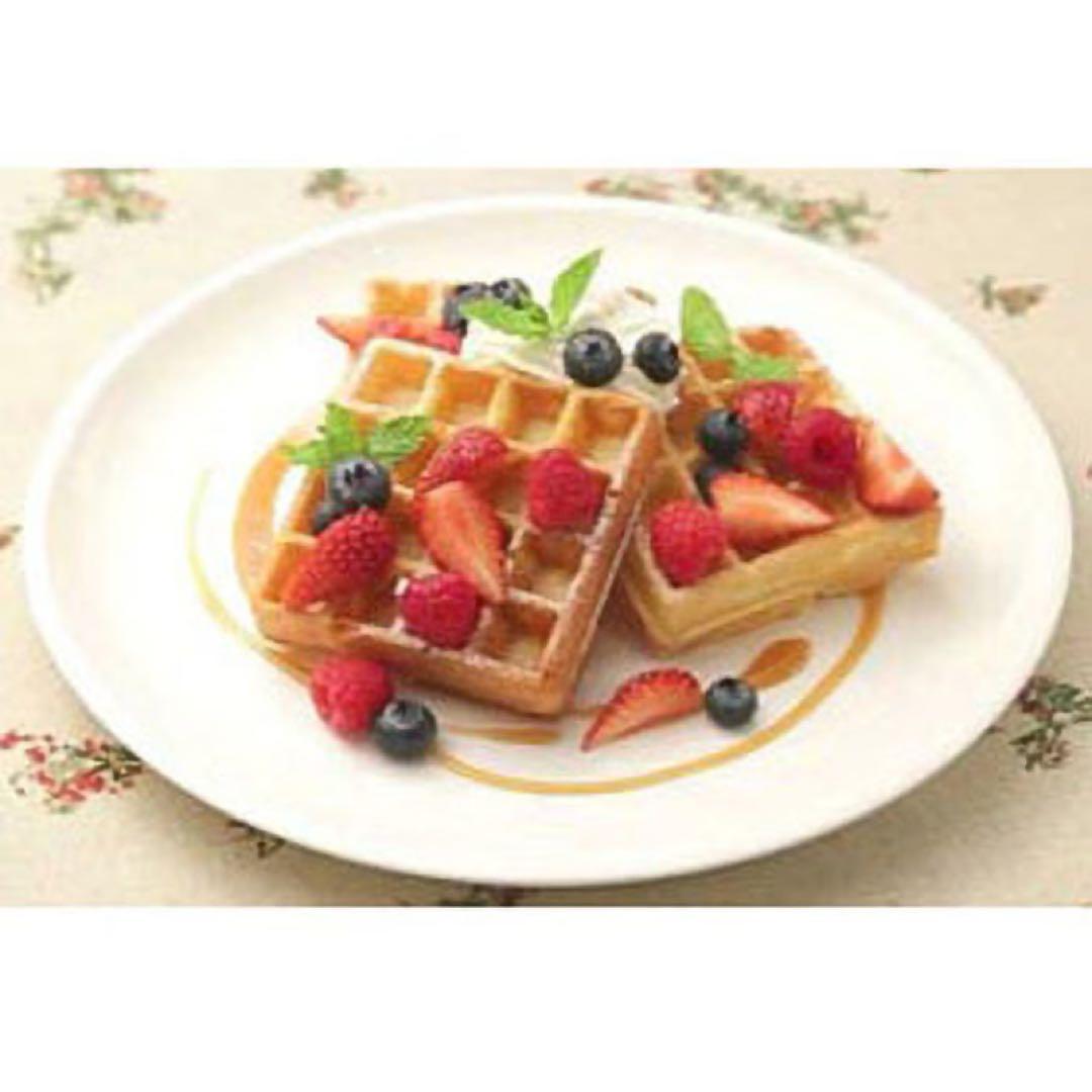 SUNTEC SBW-200 角型ワッフルメーカー