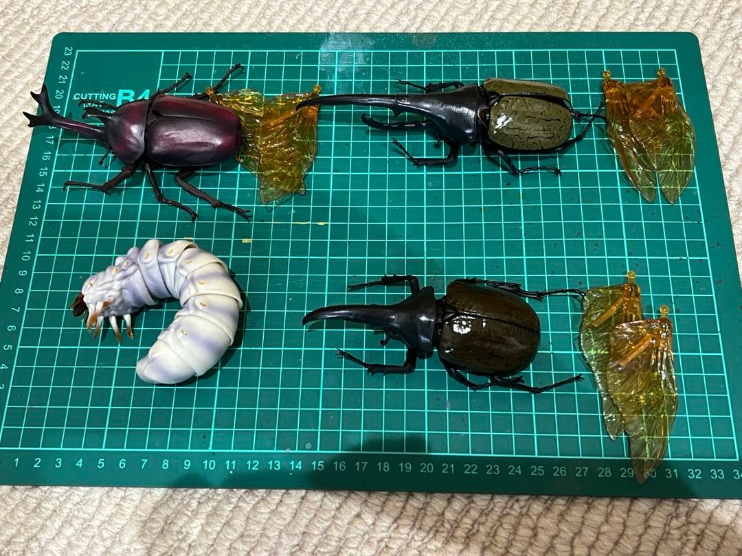 ★ いきもの大図鑑　アドバンス　カブトムシ　セット★