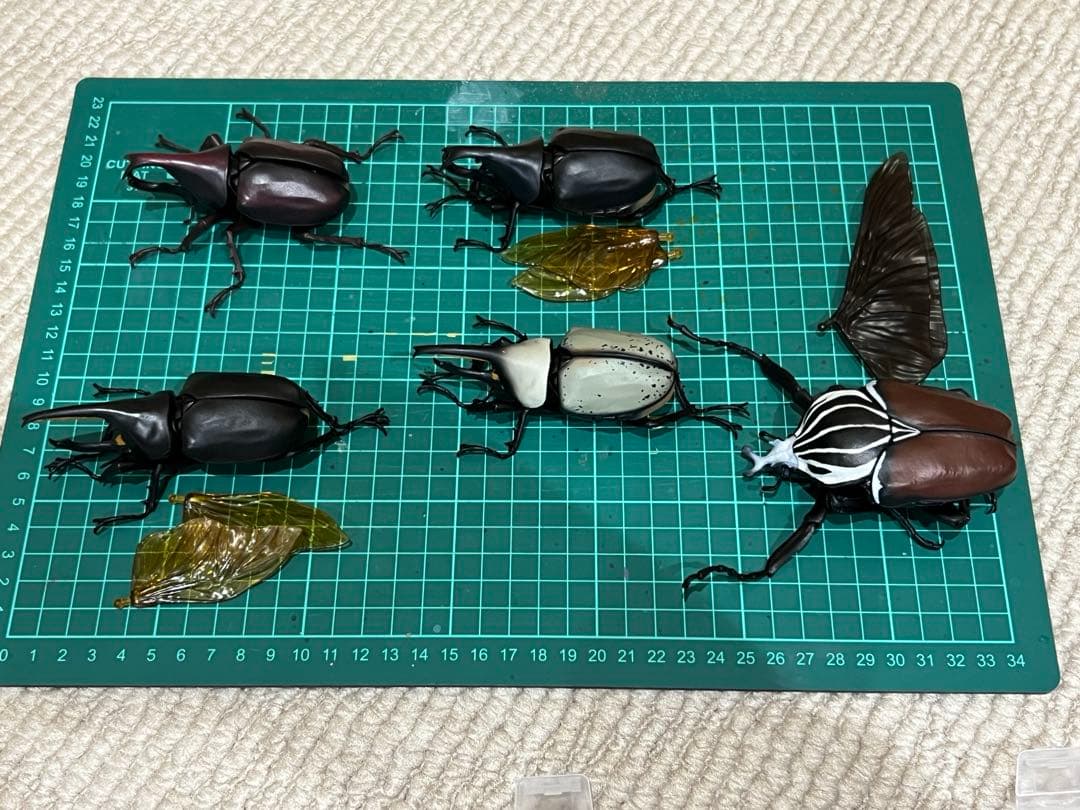 ★ いきもの大図鑑　アドバンス　カブトムシ　セット★