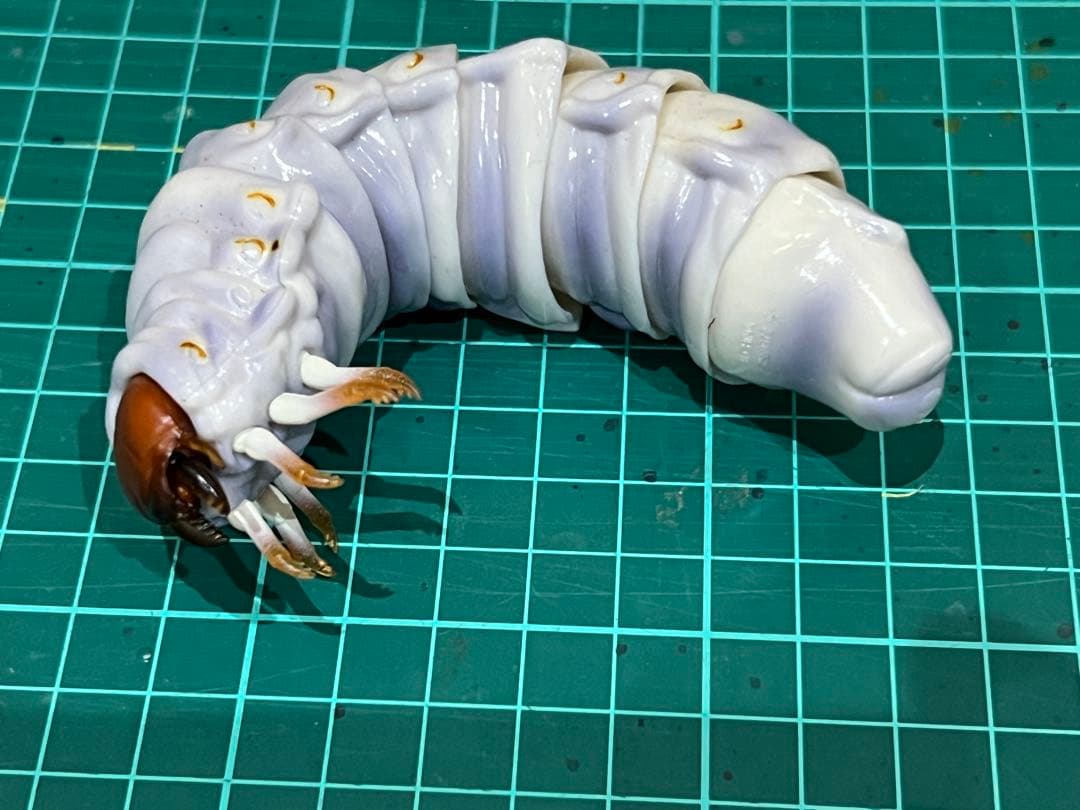 ★ いきもの大図鑑　アドバンス　カブトムシ　セット★