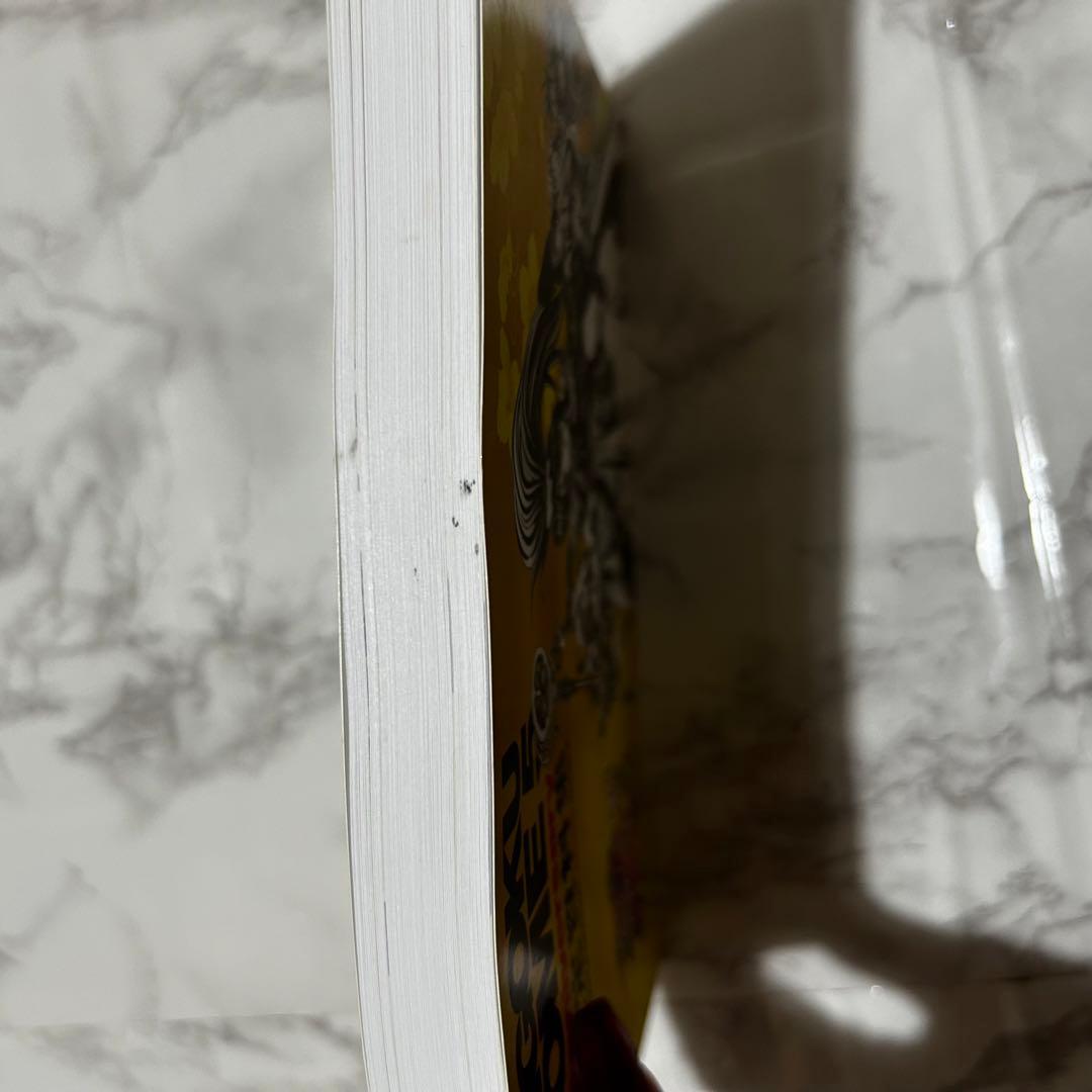 【戦国乙女】10周年アニバーサリー サントラ＆設定資料集【限定パッケージ】