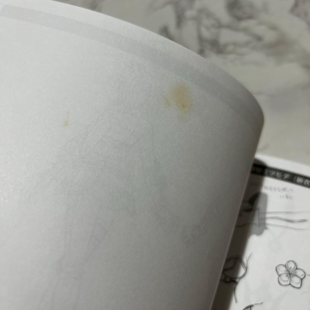 【戦国乙女】10周年アニバーサリー サントラ＆設定資料集【限定パッケージ】