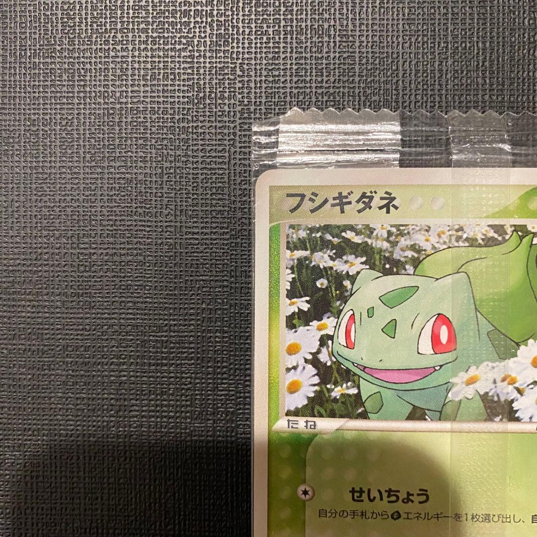 フシギダネ プロモ 未開封 明治 meiji 051/ADV-P