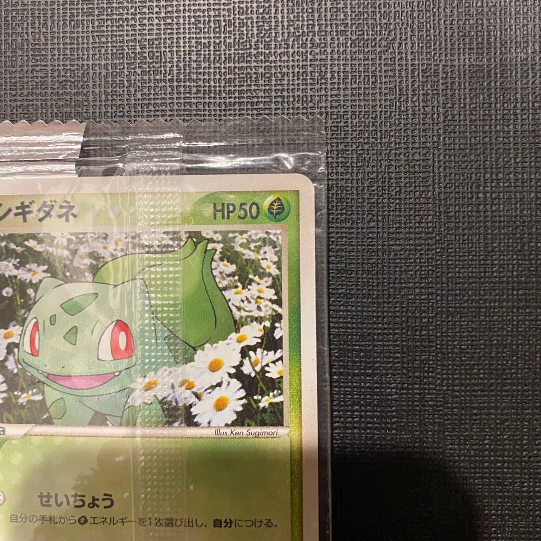 フシギダネ プロモ 未開封 明治 meiji 051/ADV-P