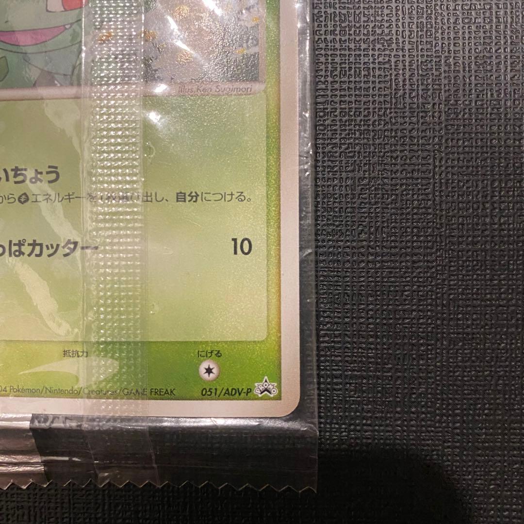 フシギダネ プロモ 未開封 明治 meiji 051/ADV-P