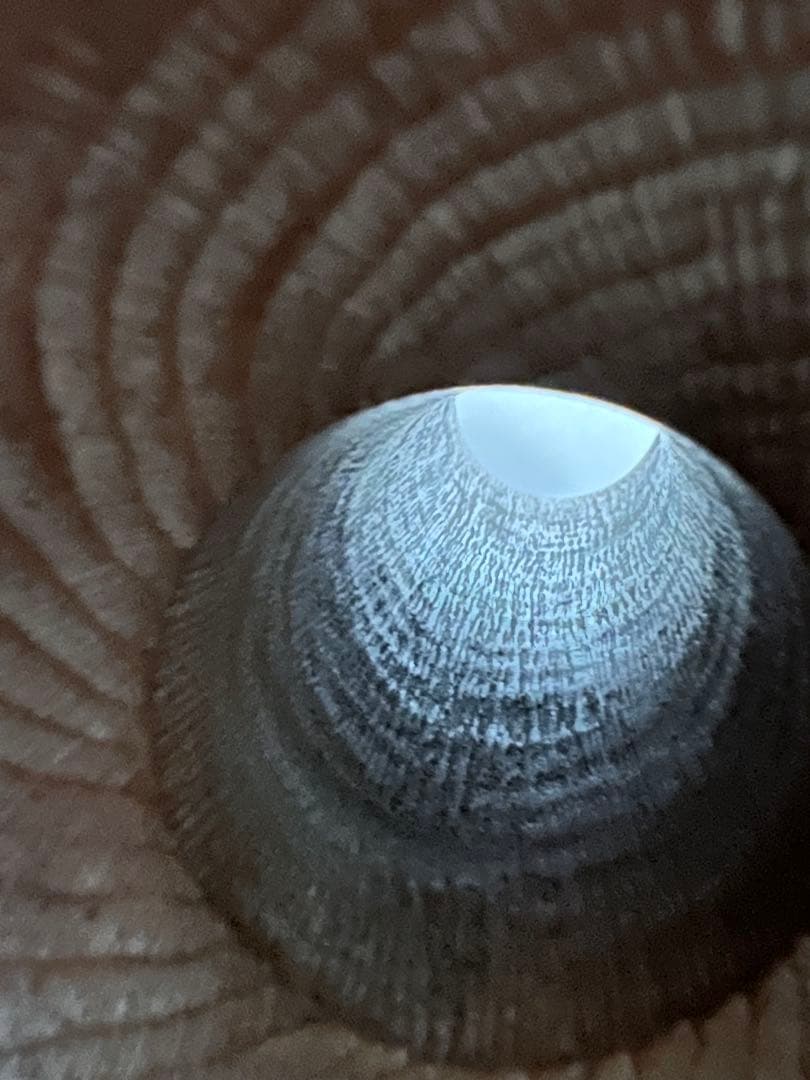 小鼓　胴　菊蒔絵