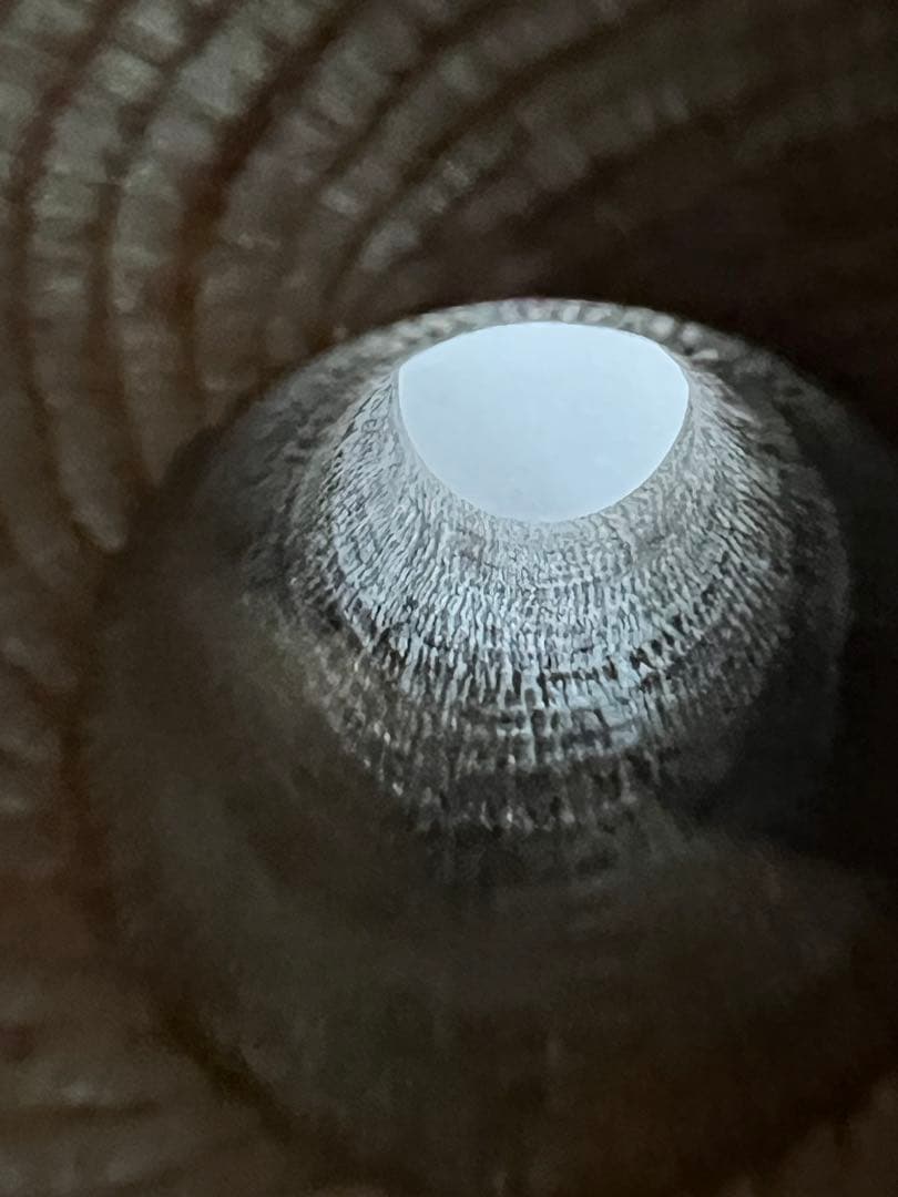 小鼓　胴　菊蒔絵