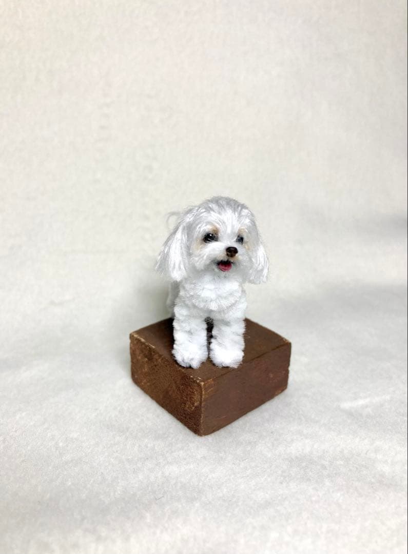 モールアート☆マルチーズ