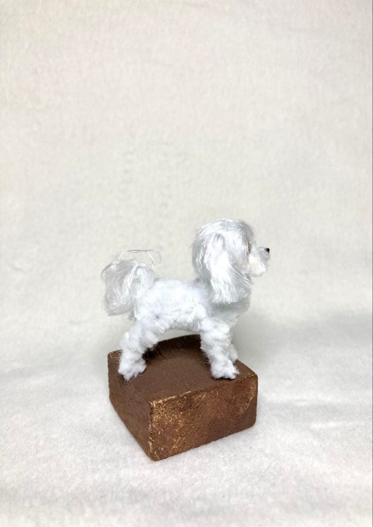 モールアート☆マルチーズ