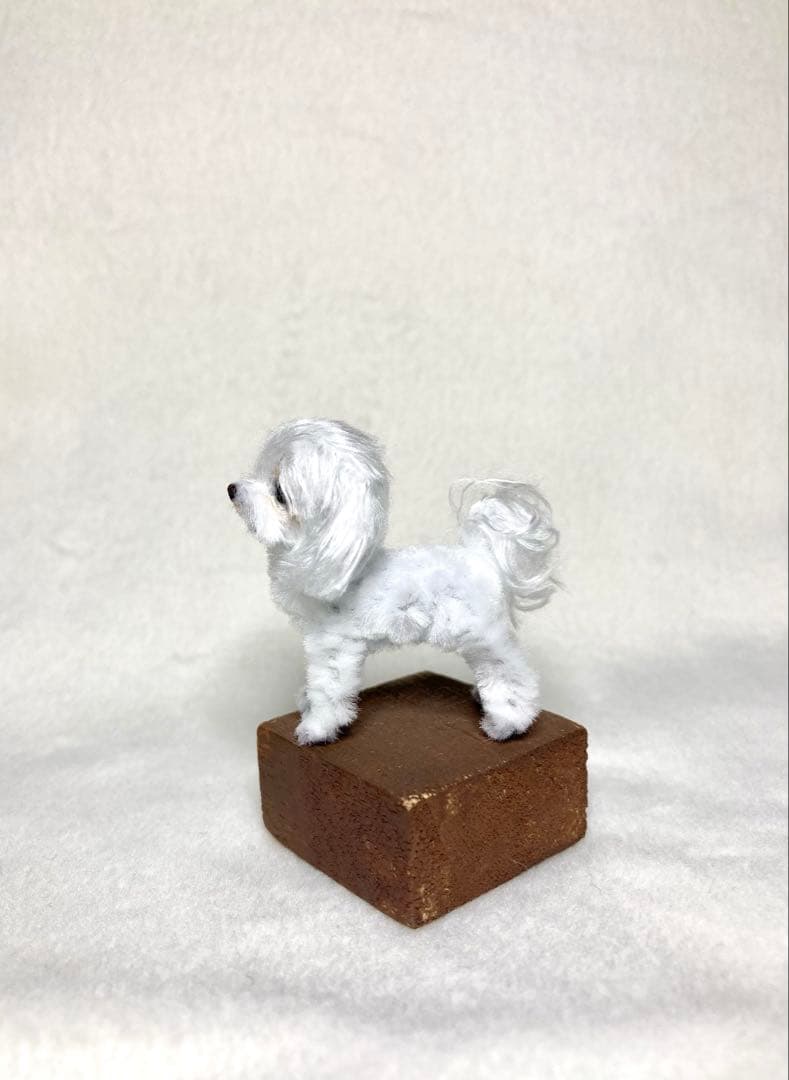 モールアート☆マルチーズ