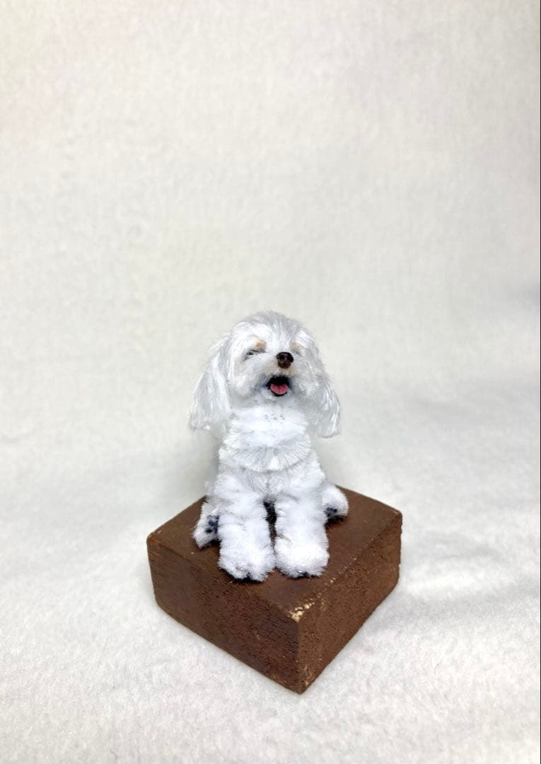 モールアート☆マルチーズ