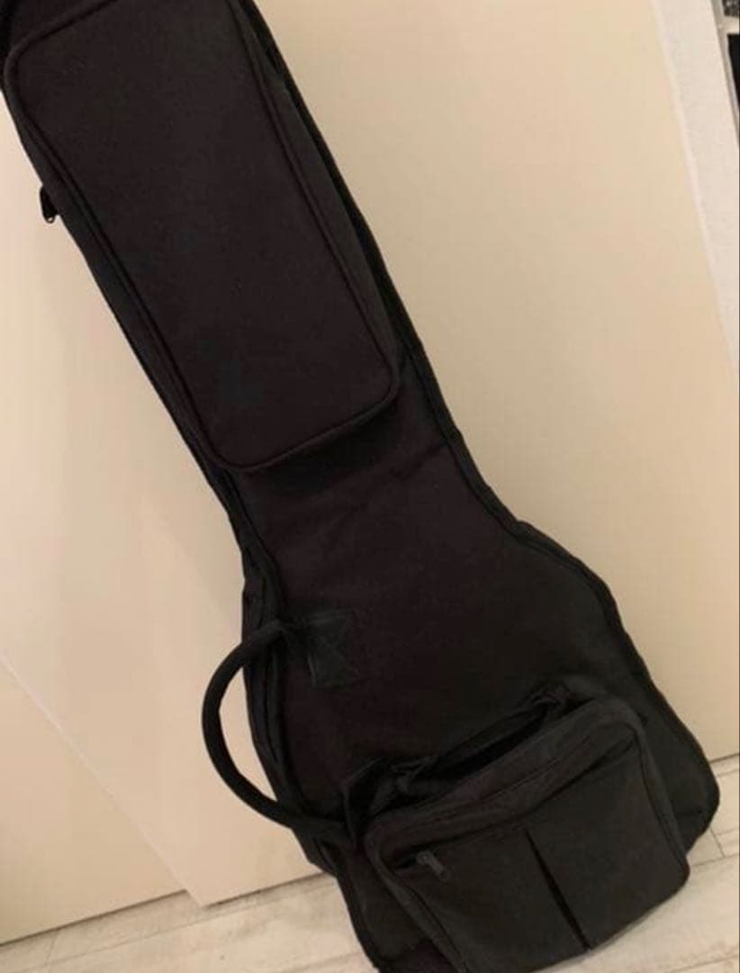 最終価格　PRS SE custom 22 タイガーメイプルトップ