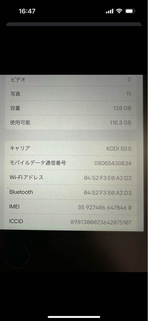 Apple iPad 本体 シルバー