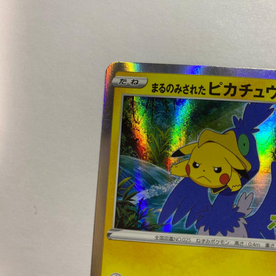 まるのみされたピカチュウ