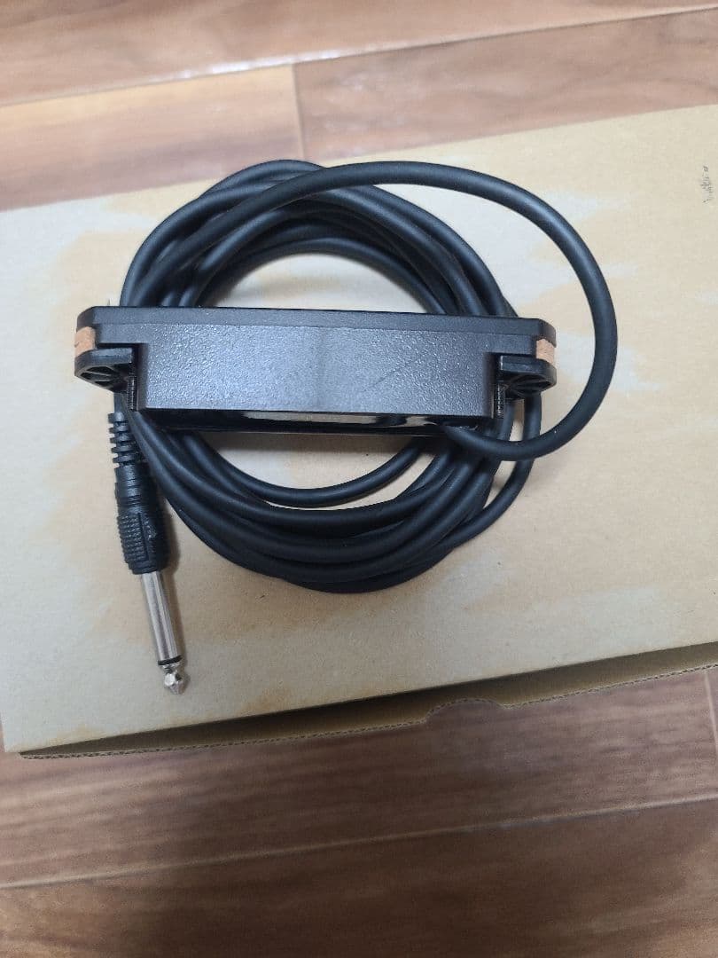 FISHMAN ( フィッシュマン ) NEO-D Single Coil