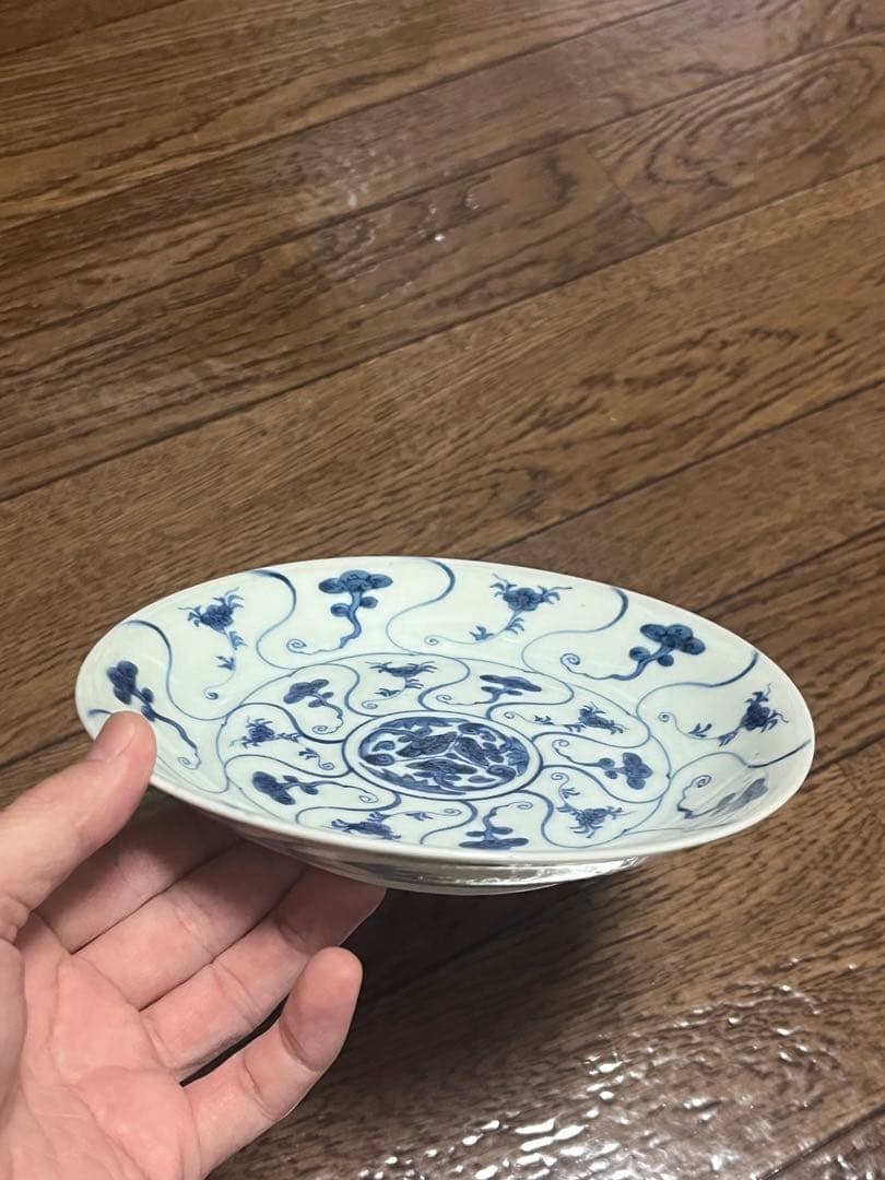 古伊万里　霊芝　なずな　中皿　無傷完品　モダン　伊万里　くらわんか　昆虫文