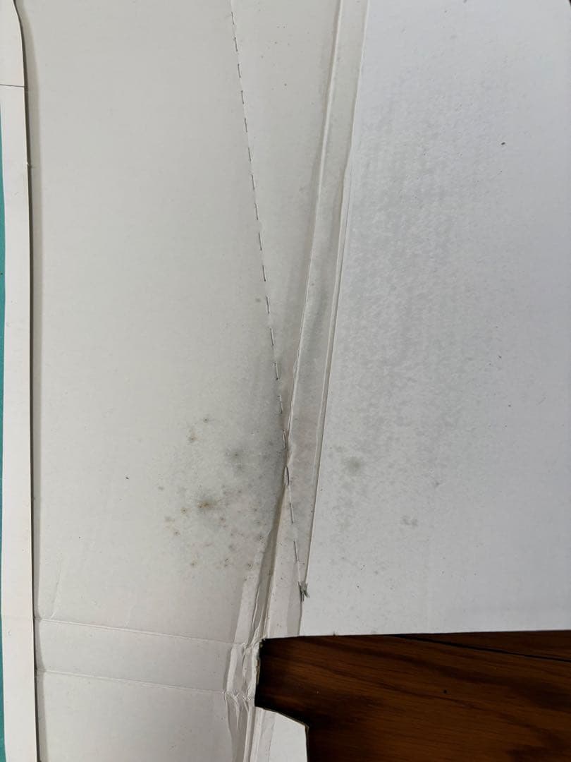 葵わかなサイン入り等身大パネル