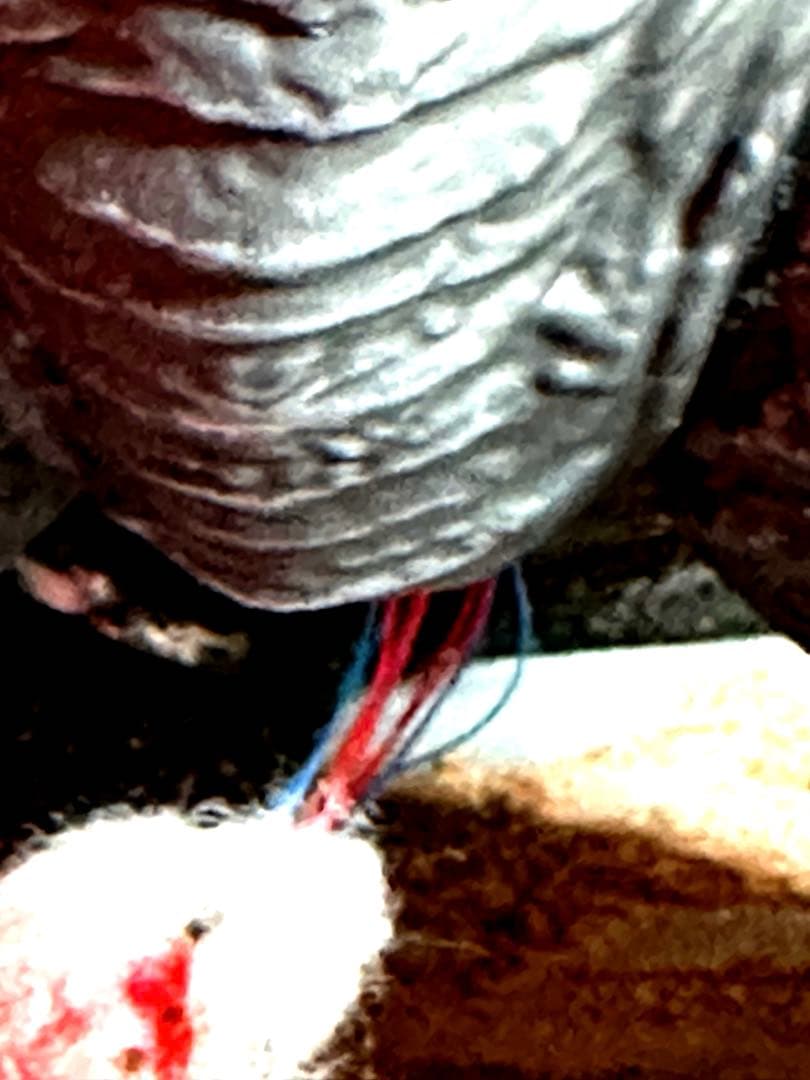 プレミアムバンダイ限定ムービーモンスター躍動２０２３熱放射カラーver