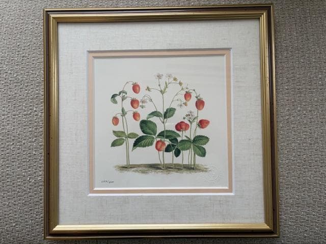 限定2800円OFF ロンドンV&A　フラワーアート　2点　額装＆マット付き