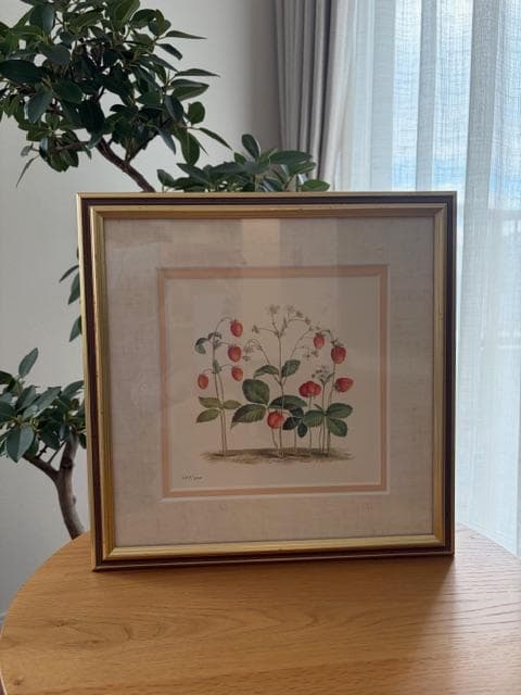 限定2800円OFF ロンドンV&A　フラワーアート　2点　額装＆マット付き