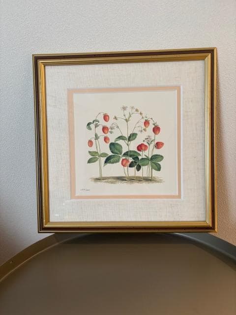 限定2800円OFF ロンドンV&A　フラワーアート　2点　額装＆マット付き