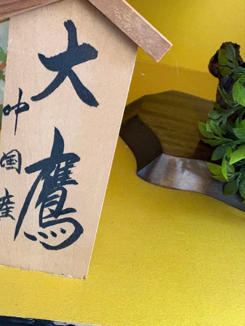 大鷹 剥製 今月いっぱい値下げ。また戻します。