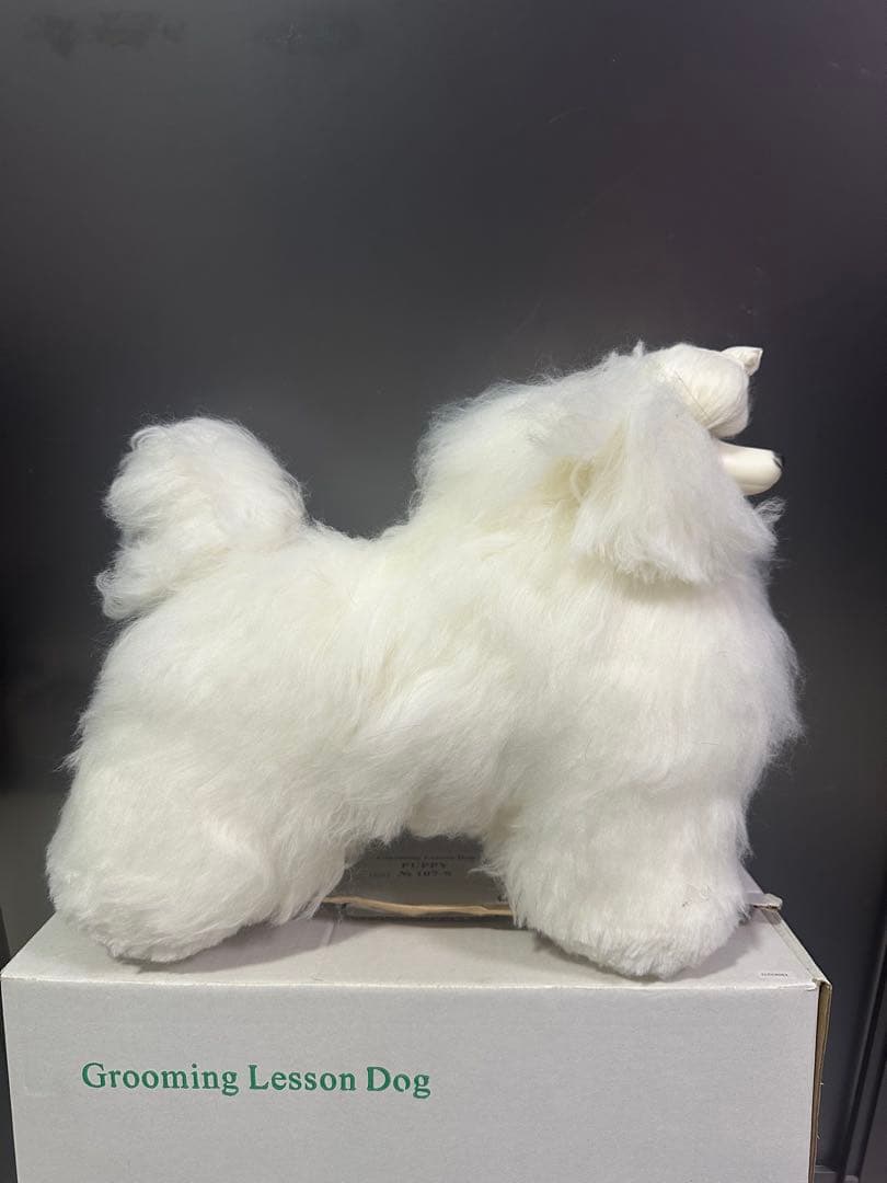 グルーミングレッスンドッグ ホワイト　107-S