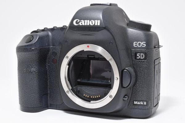★良品★ショット数14118回 キヤノン EOS 5D Mark II #926