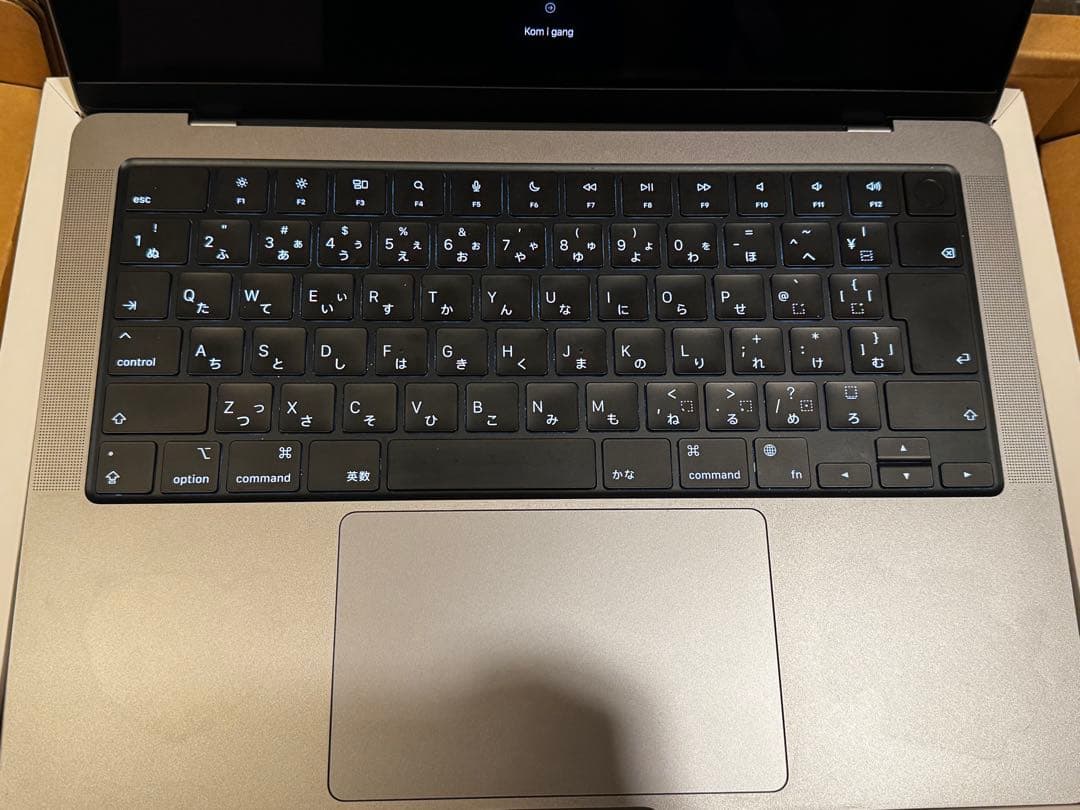 MacBook本体 Apple MacBook Pro (M1 Pro) 1TB