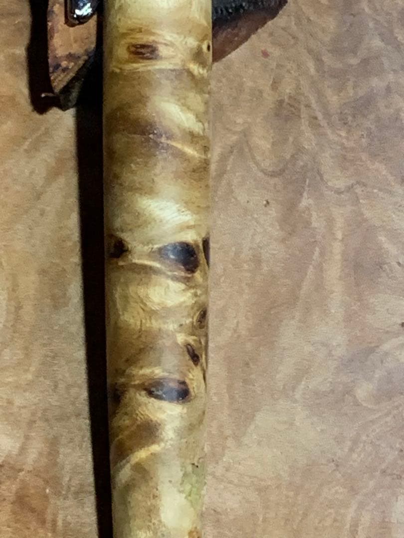 ペンテルオレンズシャープペンシル0.5mm改  ポプラ無垢