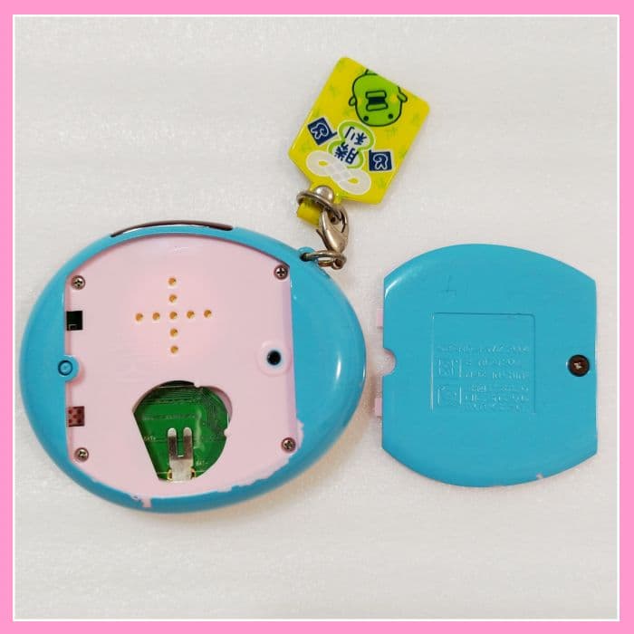 たまごっちスクール　せーとぜーいんしゅーごっち！　2じかんめ　スクールれいんぼー