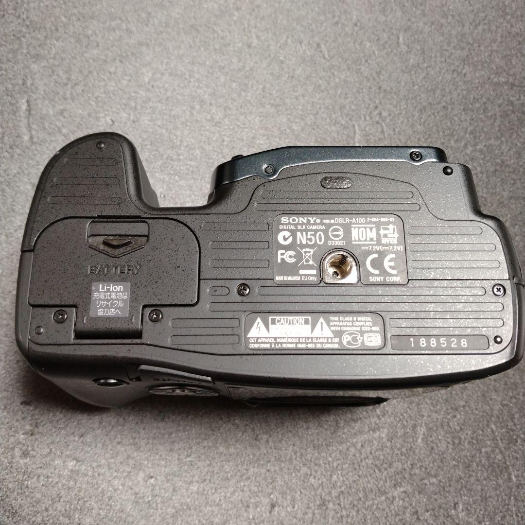 ソニーα100ボディ