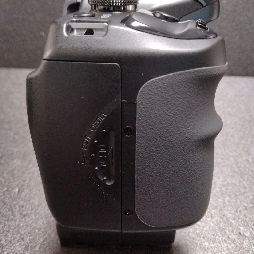 ソニーα100ボディ