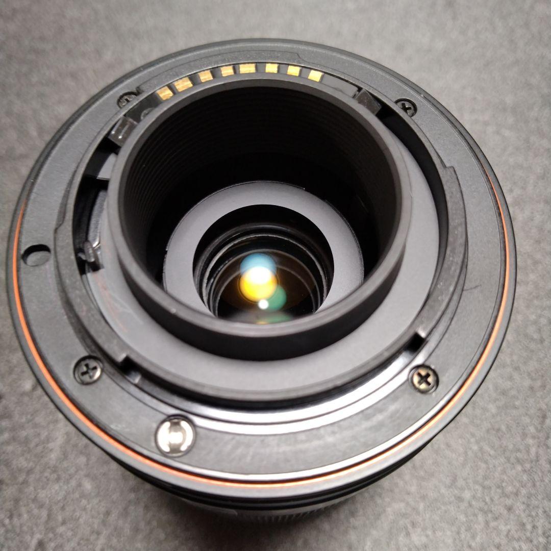 ソニーα100ボディ