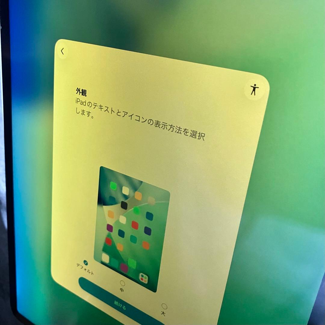 iPad Pro (12.9”) 第3世代 1TB WiFi+Cellular