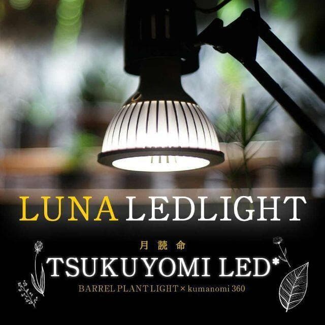 ツクヨミ　初回限定リフレクター付　TSUKUYOMI LED 20W
