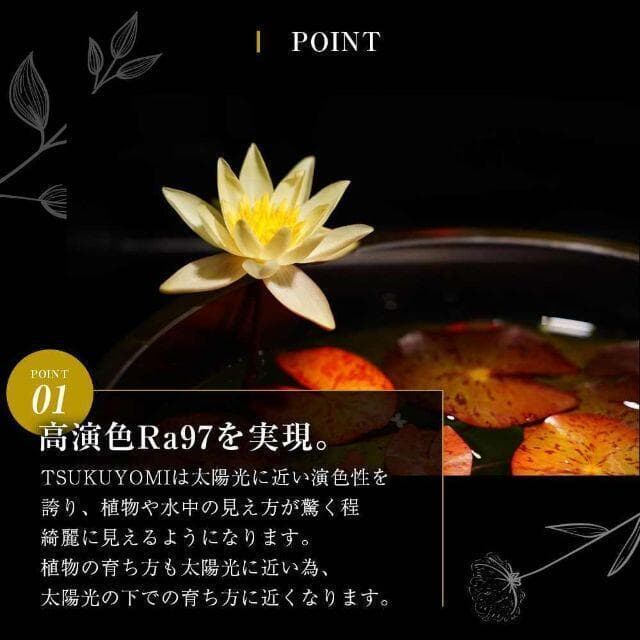 ツクヨミ　初回限定リフレクター付　TSUKUYOMI LED 20W