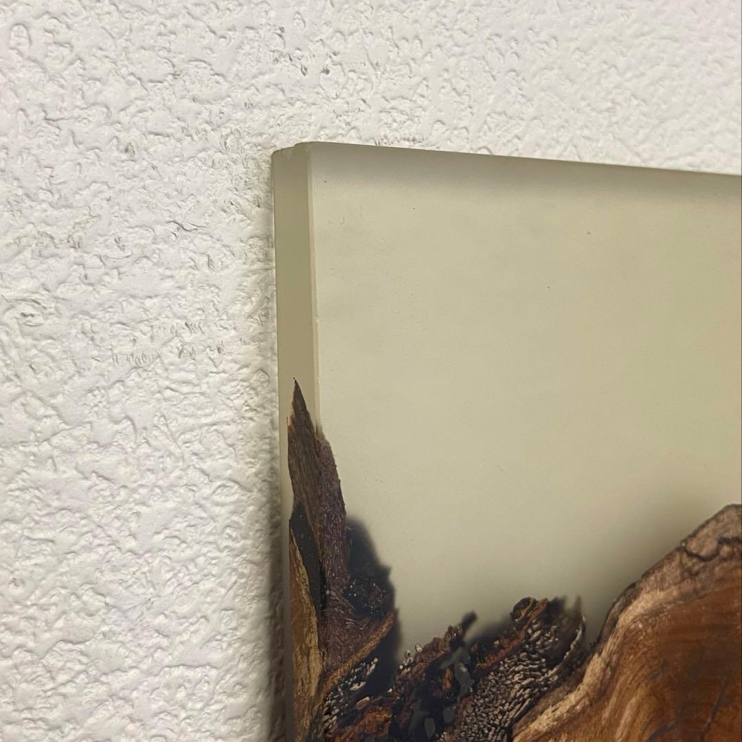 alcarol アルカロール 限定 ボード インテリア