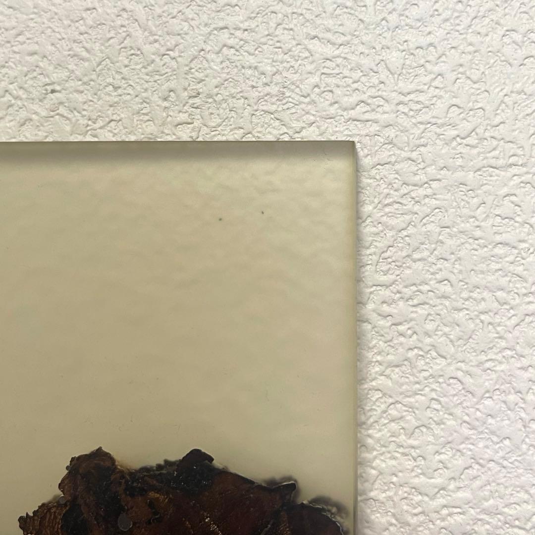 alcarol アルカロール 限定 ボード インテリア